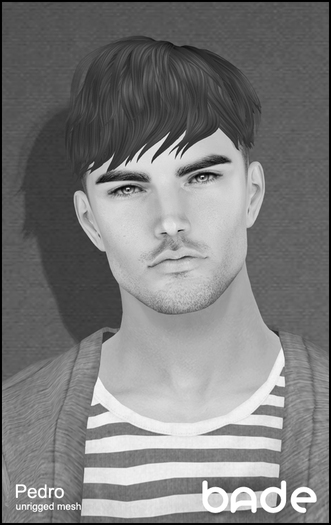[bade] Pedro_DEMO