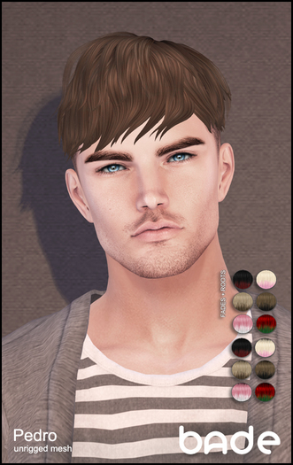 [bade] Pedro_FADES