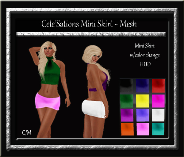 Cele'Sations Mini Skirt A MESH Pk