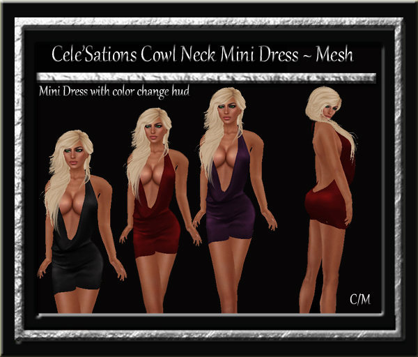 Cele'Sations Mini Skirt A MESH Pk