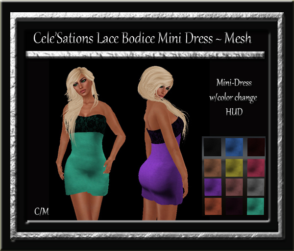 Cele'Sations Mini Skirt A MESH Pk