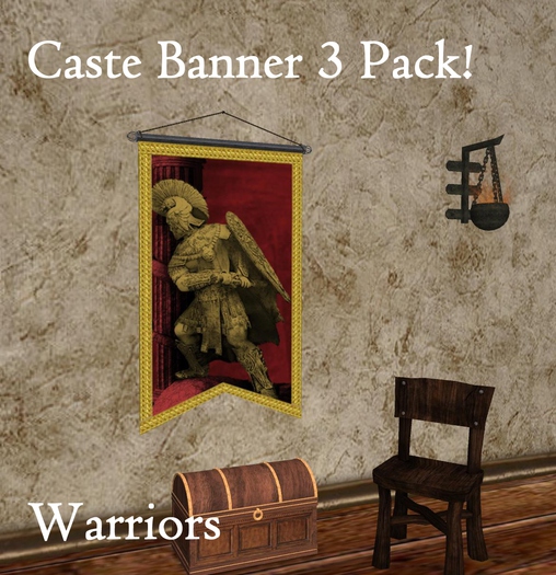 (DS) Caste Banner 3-pack!  Warriors - Boxed