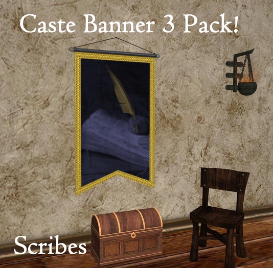 (DS) Caste Banner 3-pack!  Scribes - Boxed