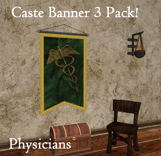 (DS) Caste Banner 3-pack!  Physicians - Boxed
