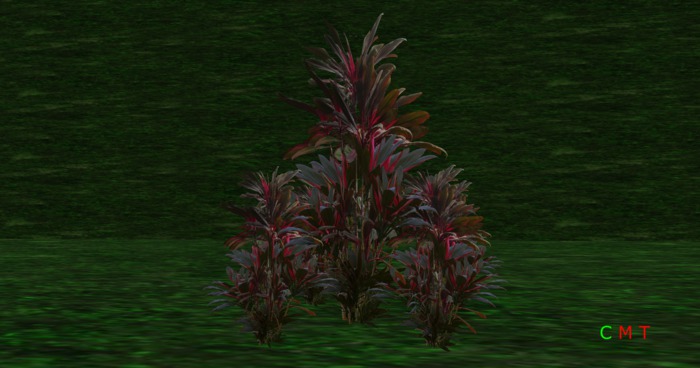 RG PLANT LUSH 15