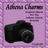 SF Digital Camera Charm For SF Charm Bracelets (Mesh)