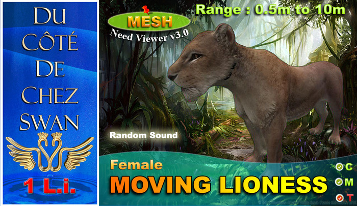 Lioness - Mesh 1 L.i.