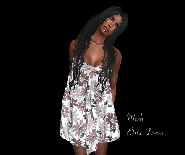 ::Net::DEMOEtnic Dress  Mesh