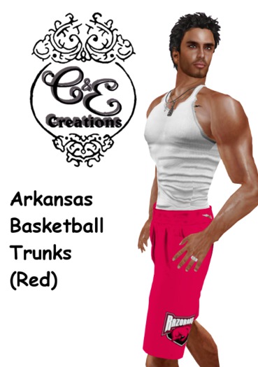 C&E Creations-Arkansas Razorbacks Basketball Trunks Red