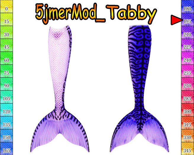5jmer Mod_Tabby-195