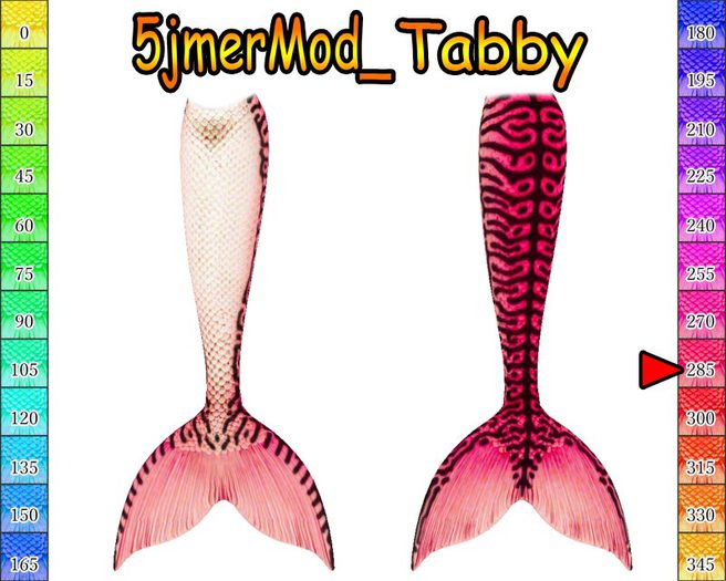 5jmer Mod_Tabby-285