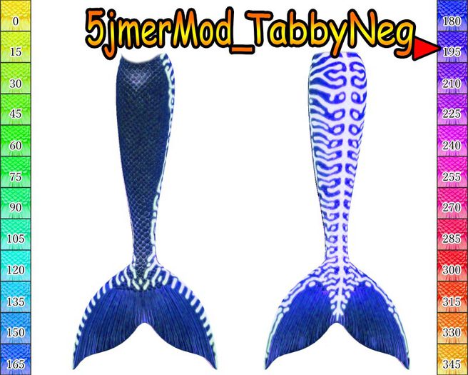 5jmer Mod_TabbyNeg-195