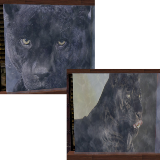 Black Panther Waterfall