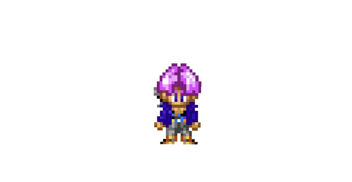 2D Trunks Package