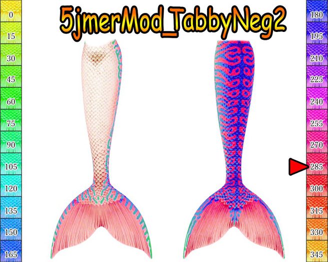 5jmer Mod_TabbyNeg2-285