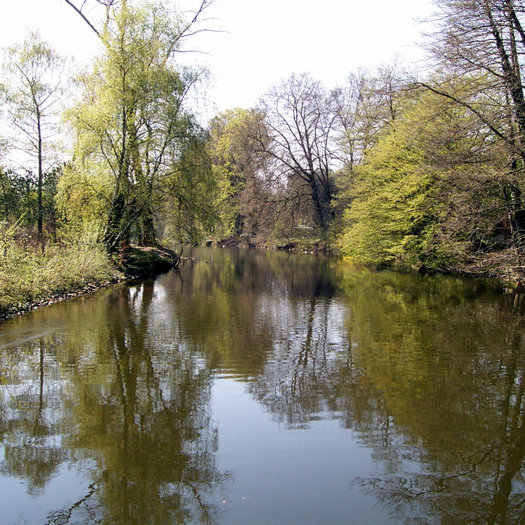 Traumfluss