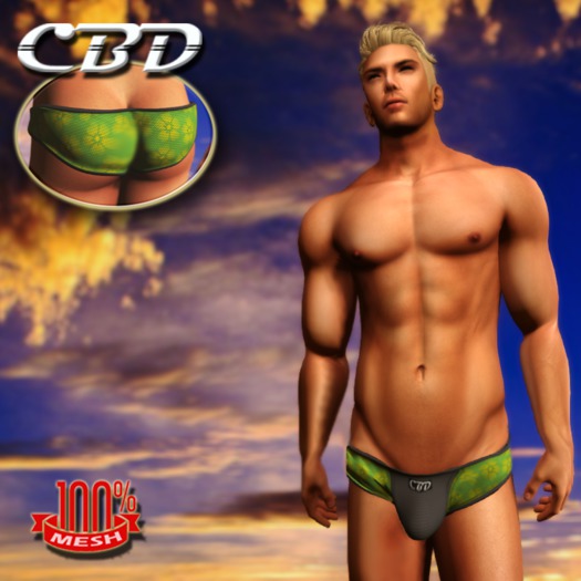 CBD - Light Blue Mesh Swimwear