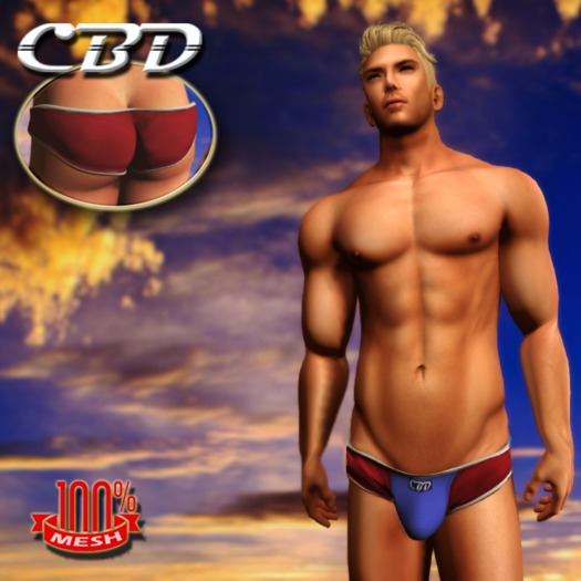 Red White & Blue Micro-kini