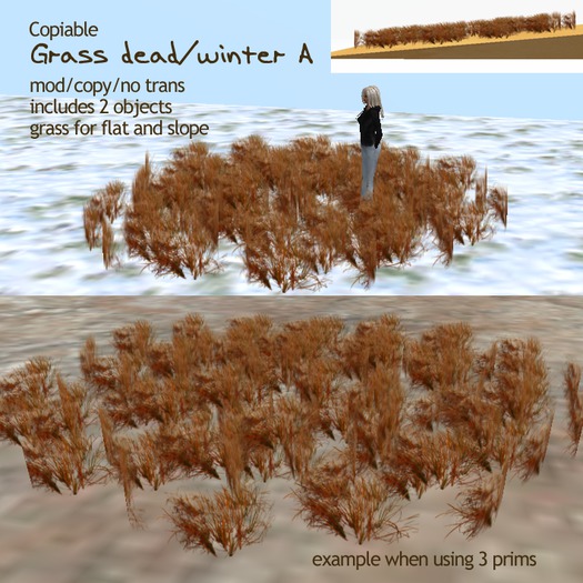 (g.) Grass Dead / winter A
