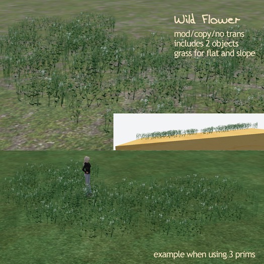 (g.) Wild Flower