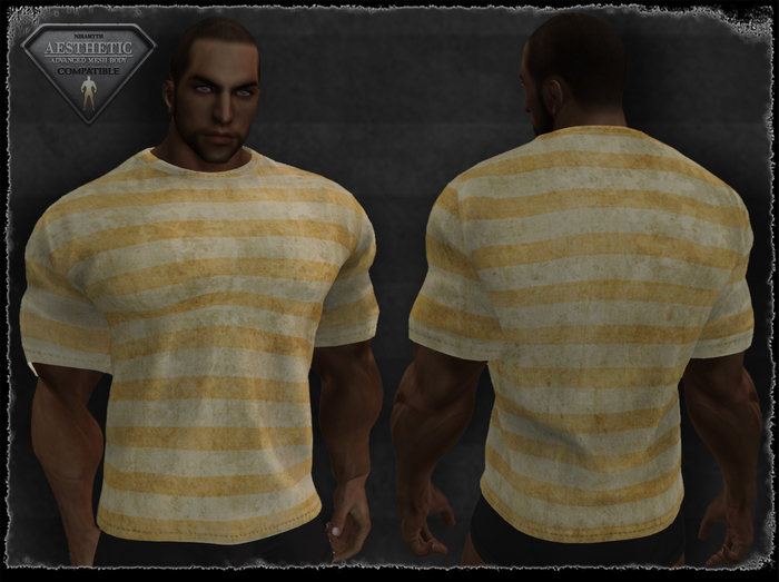 T-Shirt - Stripes - 5