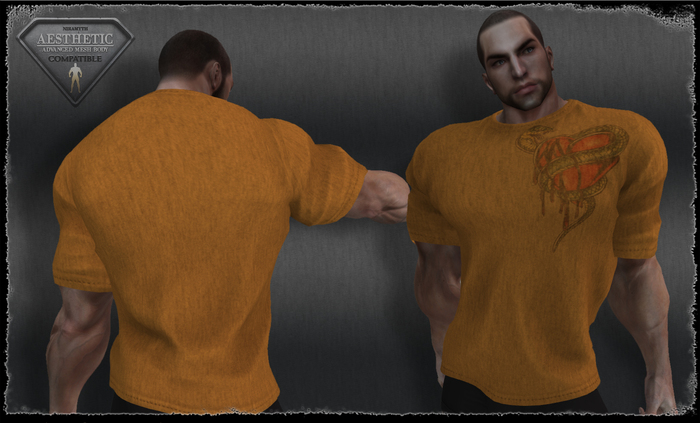 T-Shirt - Snake - Orange