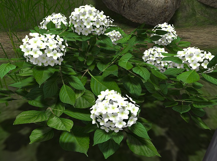 Plants Mesh - Collection