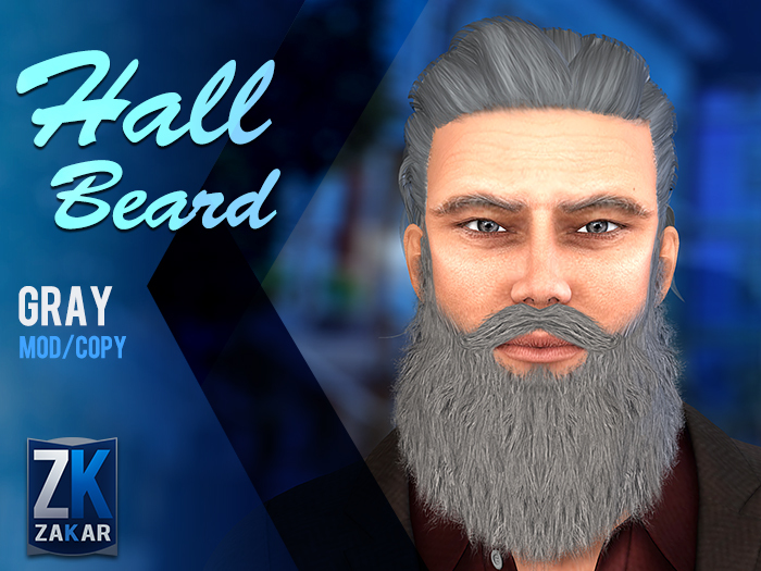 Hall Beard Gray - ZK