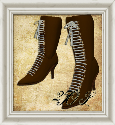 Shabby Chic Rusty High Laced Up Boots