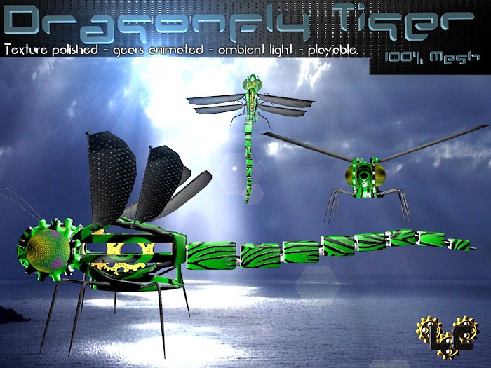 Dragonfly Tiger