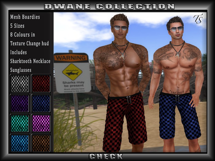 TS-Mens-Dwane-Boardies#5 Check