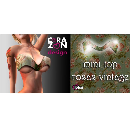 .:*CZ*:. Mini Top Rosas Vintage with Lolas