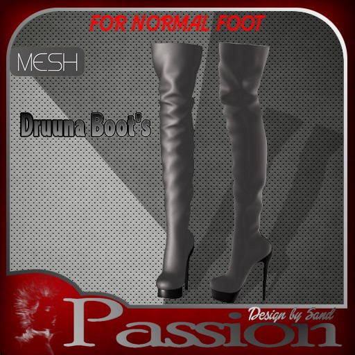 Sand hight boots "druuna"- silver
