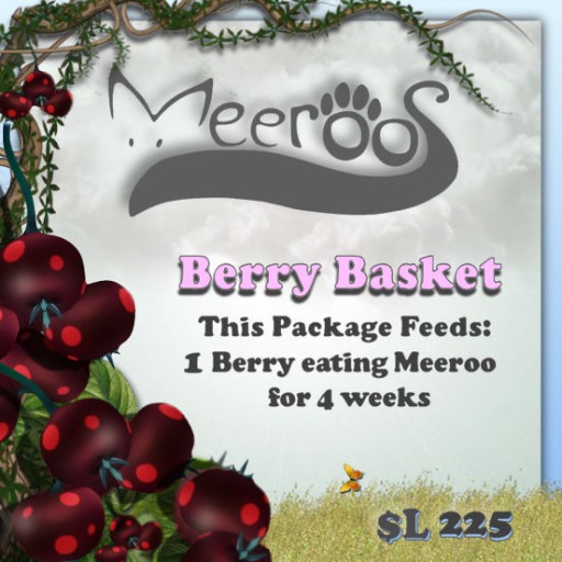 Meeroos Wild Berries Basket V3.0