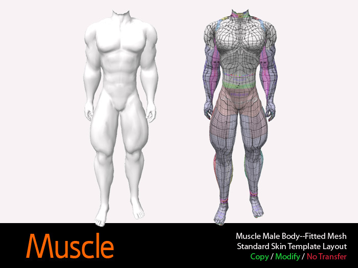 Muscle Male Body--Fitted Mesh