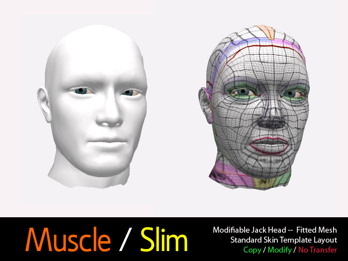 Modifiable Jack Head--Fitted Mesh