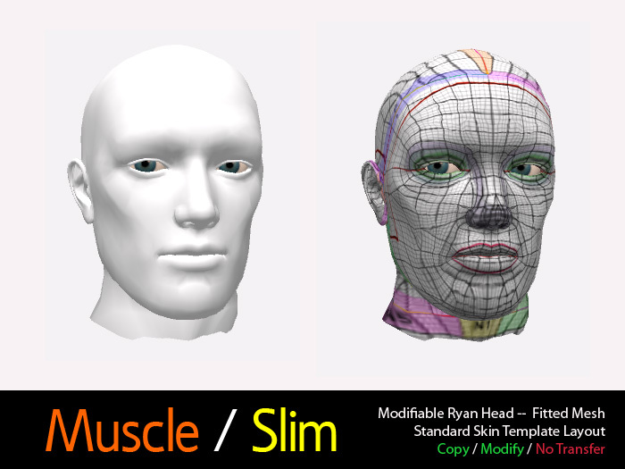 Modifiable Ryan Head--Fitted Mesh