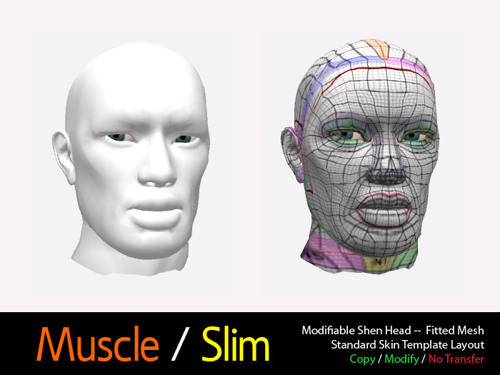 Modifiable Shen Head--Fitted Mesh
