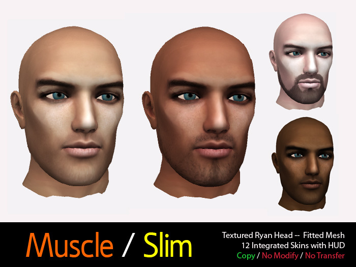 Textured Ryan Head--Fitted Mesh