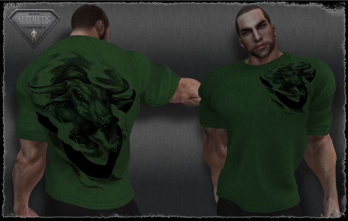 T-Shirt - Bull - Green