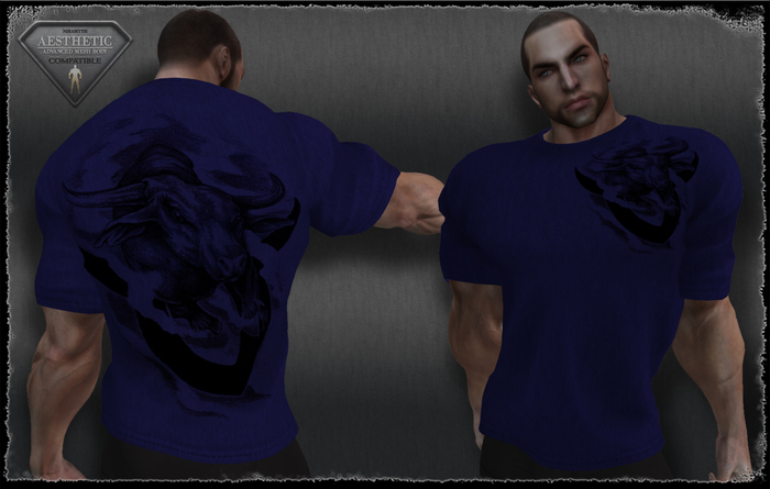 T-Shirt - Bull - Blue