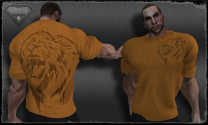 T-Shirt - LionHead - Orange