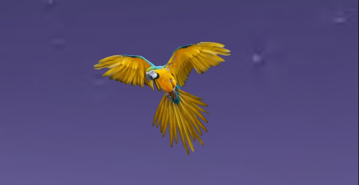 Bird full perms alpha texture
