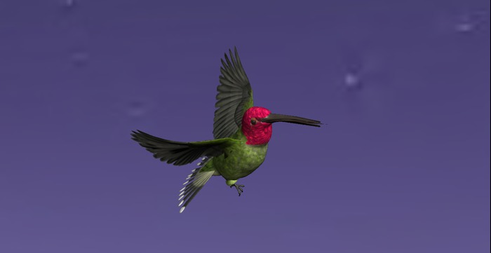 Bird full perms alpha texture 2