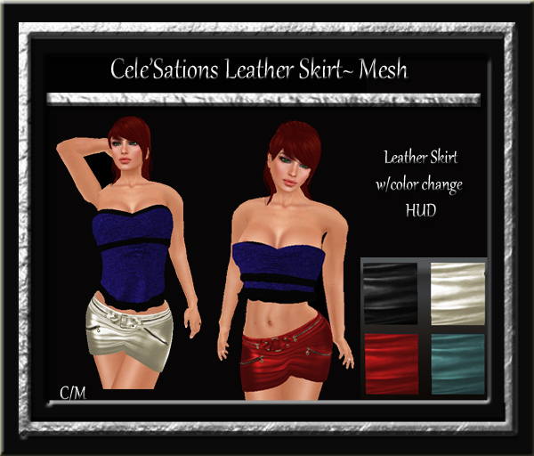 Cele'Sations Leather Mini Skirt with zippers MESH