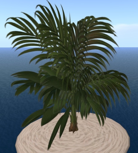 Kenia Palm 3 prims