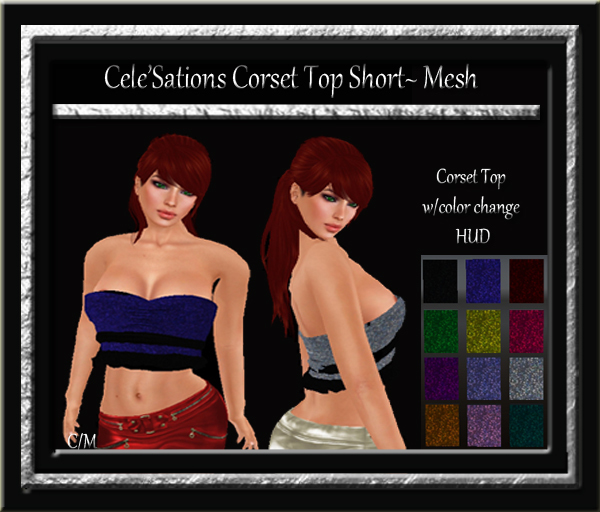 Cele'Sations Mini Skirt A MESH Pk