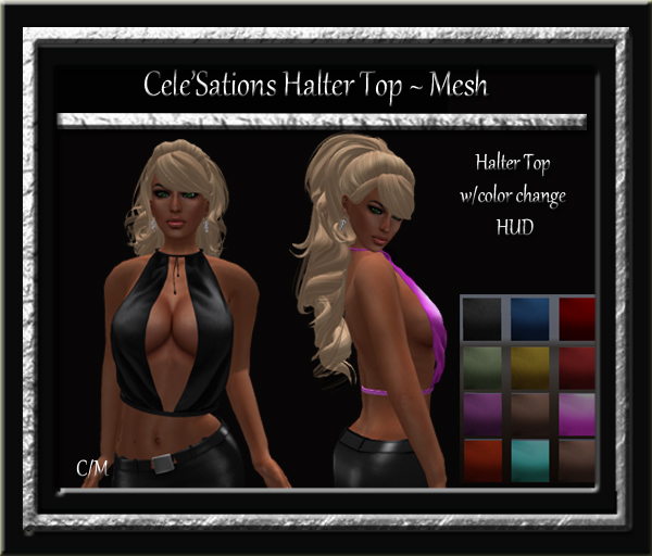 Cele'Sations Mini Skirt A MESH Pk