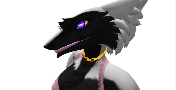 collar gold and silver (red)