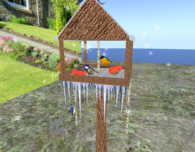 BIRD WINTER FEEDER !!!
